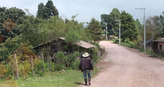 Guerrero: 500 desplazado piden ayuda humanitaria y seguridad por parte del ejército