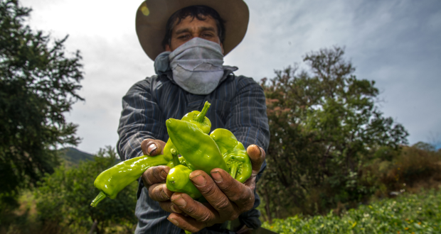 Agricultura asistirá 2do Congreso de Agua, Suelo y Agrobiodiversidad