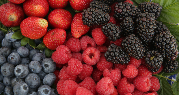 La (Aneberries) inició mesas de trabajo para la inocuidad de frutillas. 