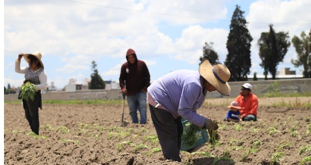 DIF capacitará en desarrolló de proyectos comunitarios en 6 municipios