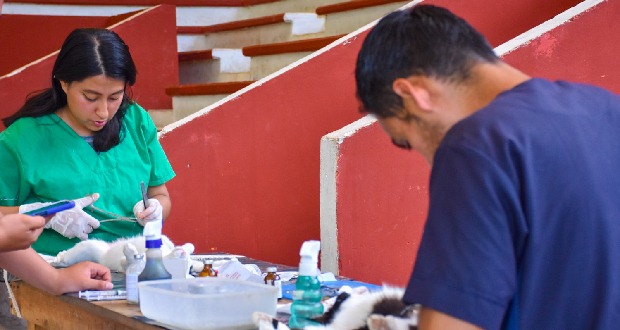 Huitzilan realiza jornada de registros de nacimiento para adultos mayores