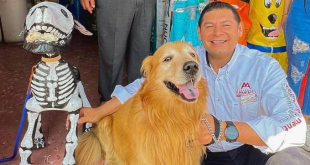 Urge unificar reformas que garantizan bienestar animal: Alejandro Armenta