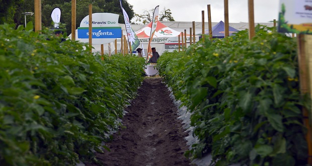 BUAP inaugura eventos agropecuarios en el Complejo Regional Centro