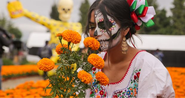 En Ruta de las mil flores en Atlixco, prevén venta de 32,500 cempasúchil
