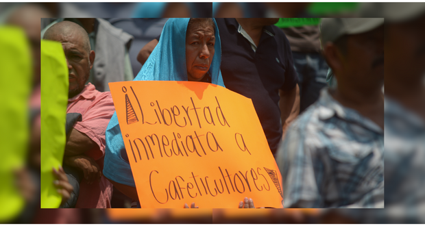 Liberan en Veracruz a cafetaleros que hicieron frente a trasnacionales