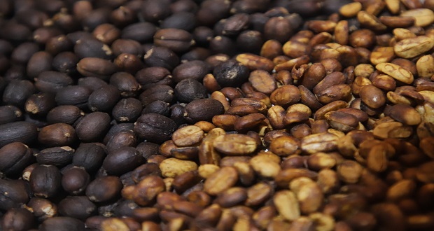 Expo-Foro Sistemas Cafetaleros 2023, ¿Cuándo y dónde será?