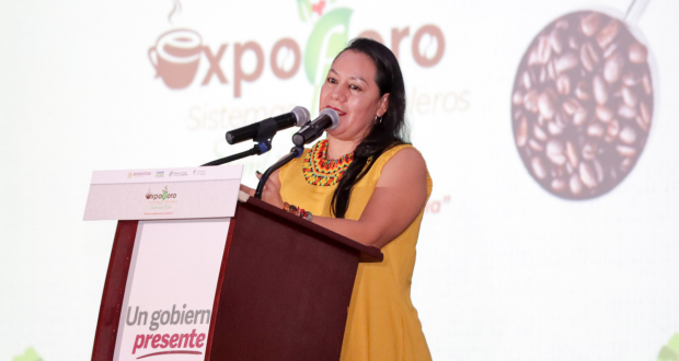 Semarnat pedirá a Conagua revisar concesiones de pozos en zona de Tlacotepec