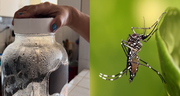 ¡Cuídate! Casos de dengue continúan en Puebla.