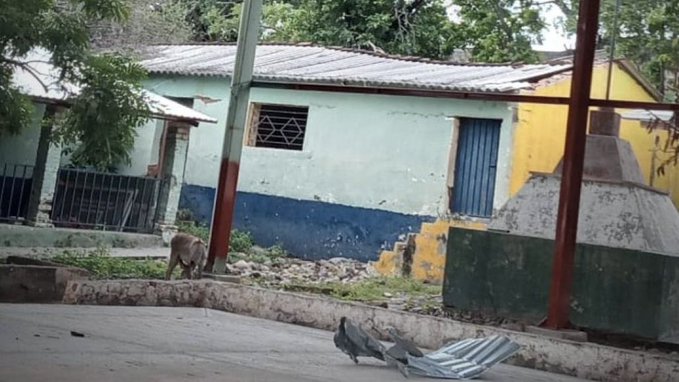 Tras ataque con drones en Guerrero, piden atención de autoridades. Foto: Especial.