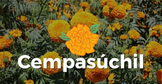 En 2023, flores de día de muertos superan 4 mil mdp: Agricultura. Foto: Especial.