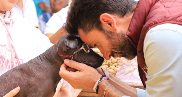 La protección a la vida animal empieza por la educación: Abdala