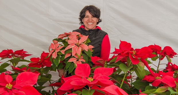 Puebla, cuarto lugar en nochebuena: produce casi 3 millones de plantas. Foto: Especial.