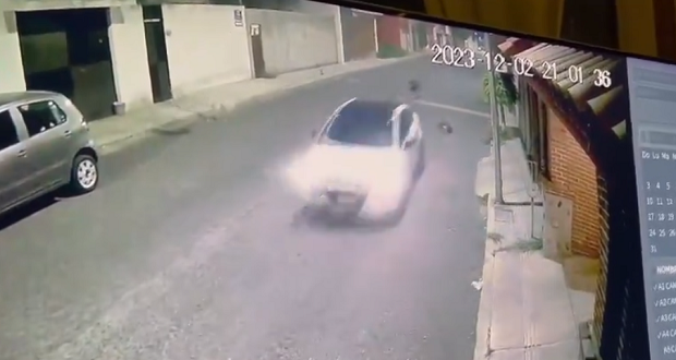 Denuncian en redes a conductor de Uber por atropellar intencionalmente a un perro. Foto: X / RomisRosgal.