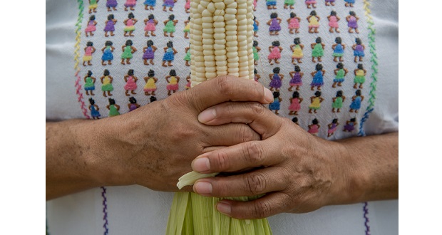 Agricultura asegura apoyos para productoras mujeres e indígenas. Foto: Especial.