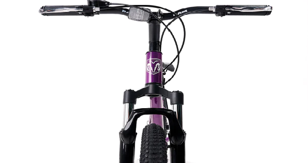¿Cómo seleccionar una bicicleta para niños?