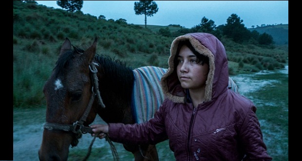 Cine mexicano obtiene 849 premios en 2023; Totém, el más premiado. Foto: Especial.