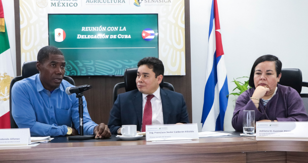 México y Cuba trabajan en protocolo para comercializar ganado y evitar plagas
