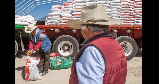 Agricultura agiliza entrega de Fertilizantes para el Bienestar en 2024. Foto: Especial.