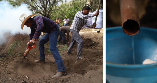Gobierno busca cerrar con 100 marcas de mezcal acreditadas; 430 mdp este año