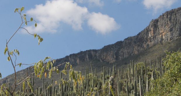Puebla podrá tener 2 áreas naturales más; una en Zacatlán, otra en Tlatlauquitepec