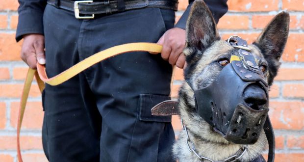 SSP registra penal de Huejotzingo; aseguran 457 objetos y dinero