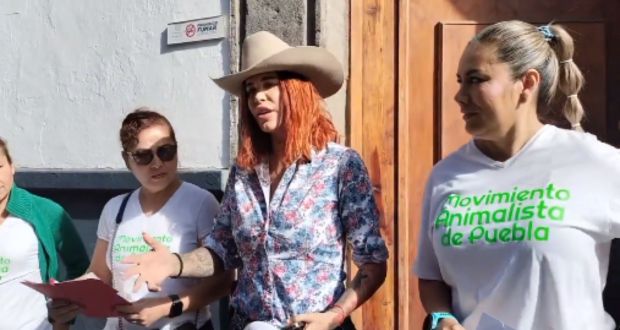En Congreso, activistas exigen condenar la zoofilia en Puebla