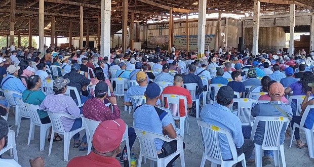 En Tecpan, Guerrero piden reforzar seguridad contra crimen organizado. Foto: X/ @Omarel44