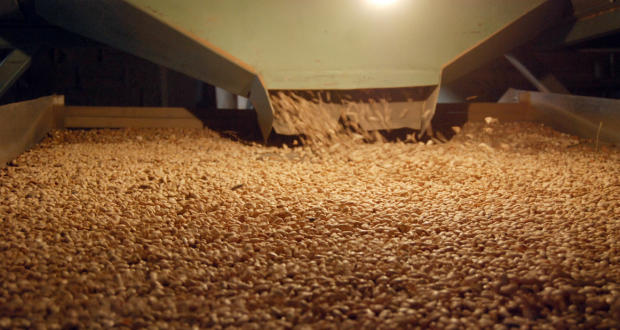 Puebla 6° lugar en Producción para el Bienestar; apoya a 126 mil productores