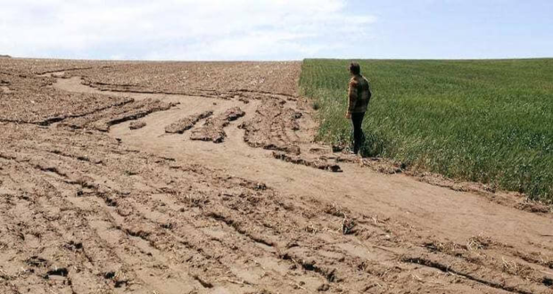 Puebla requiere con urgencia tierras para atraer empresas: Economía