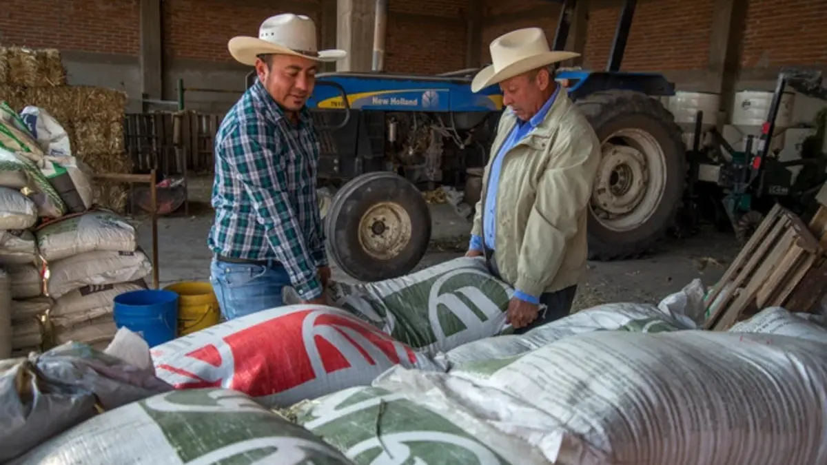 Agricultura invierte 680 mdp en fertilizantes para productores de Michoacán y Coahuila