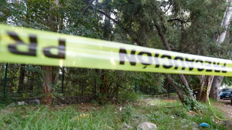 En ataque, asesinan a 3 guardabosques en San Salvador El Verde; hay un herido