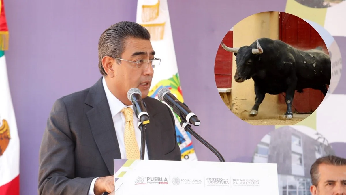 Se acatará amparo contra corridas de toros en Feria de Puebla 2024: Céspedes