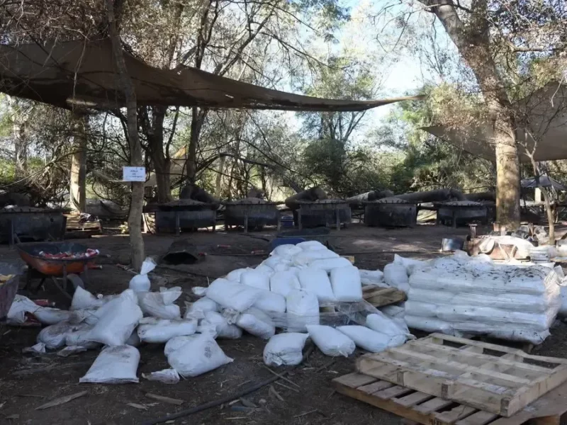 Sedena y Semar desmantelan laboratorio con 80 mil kilos de droga en Sonora