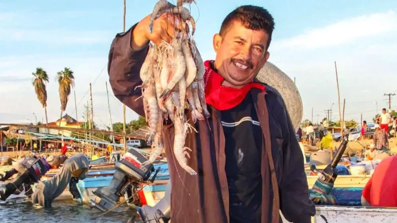 Aplicará Agricultura veda para pesca de camarón; inicia 20 de marzo