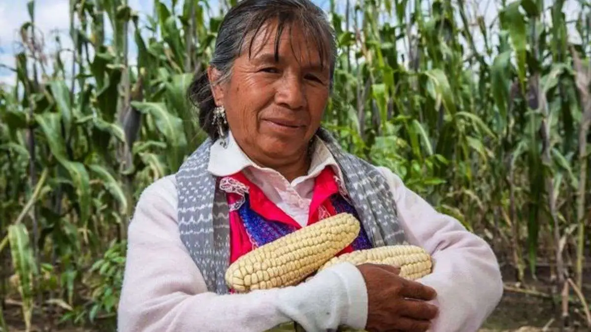 Representa Agricultura a México en conferencia regional de la FAO