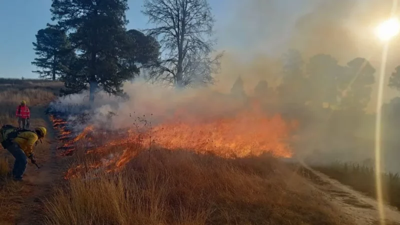 En Puebla, suman 190 incendios forestales en 2024; se mantienen activos 3
