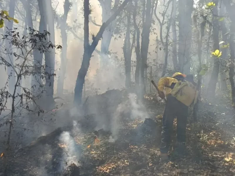 Liquidan incendio forestal en Coyomeapan; se mantiene activo el de Zautla