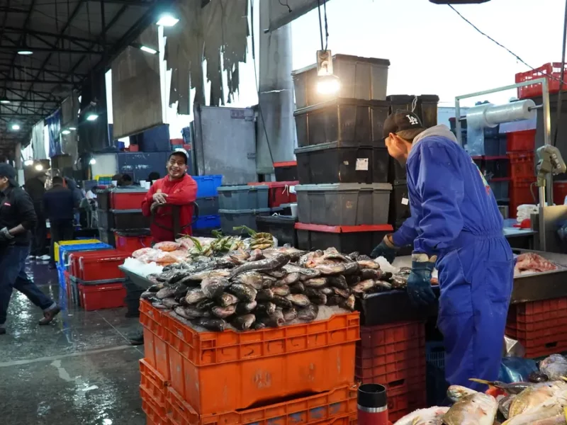 En Cuaresma, el precio de mariscos promedió 22.5 pesos por kilo: Agricultura