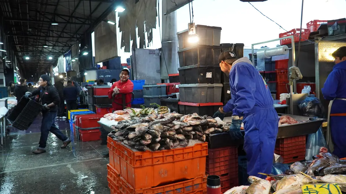 En Cuaresma, precio de mariscos promedió 22.5 pesos por kilo Agricultura