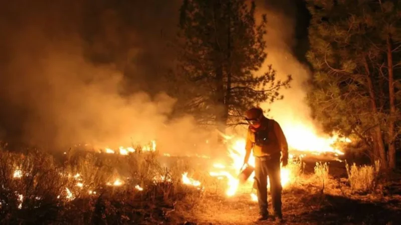 Puebla, séptimo estado con 348 incendios forestales en 2023; van 25 en 2024