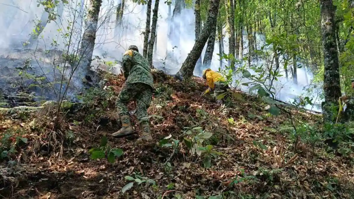 Incendio en Coyomeapan, controlado al 90% y liquidado al 50% Medio Ambiente