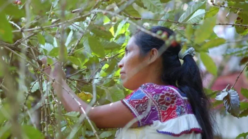 ¡Bravo! Agricultura rinde homenajea a las “Mujeres rurales”