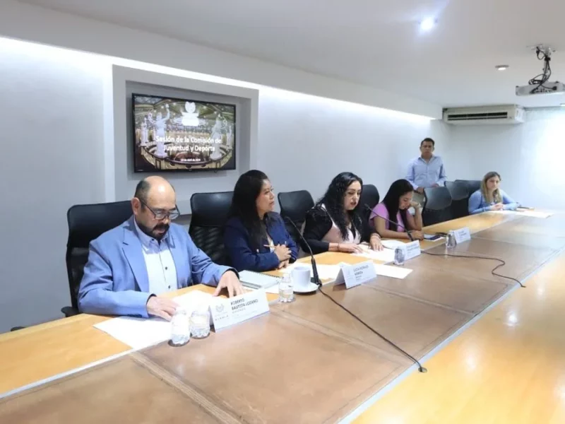 Congreso: Iniciativas de salud mental a consulta ciudadana en Puebla