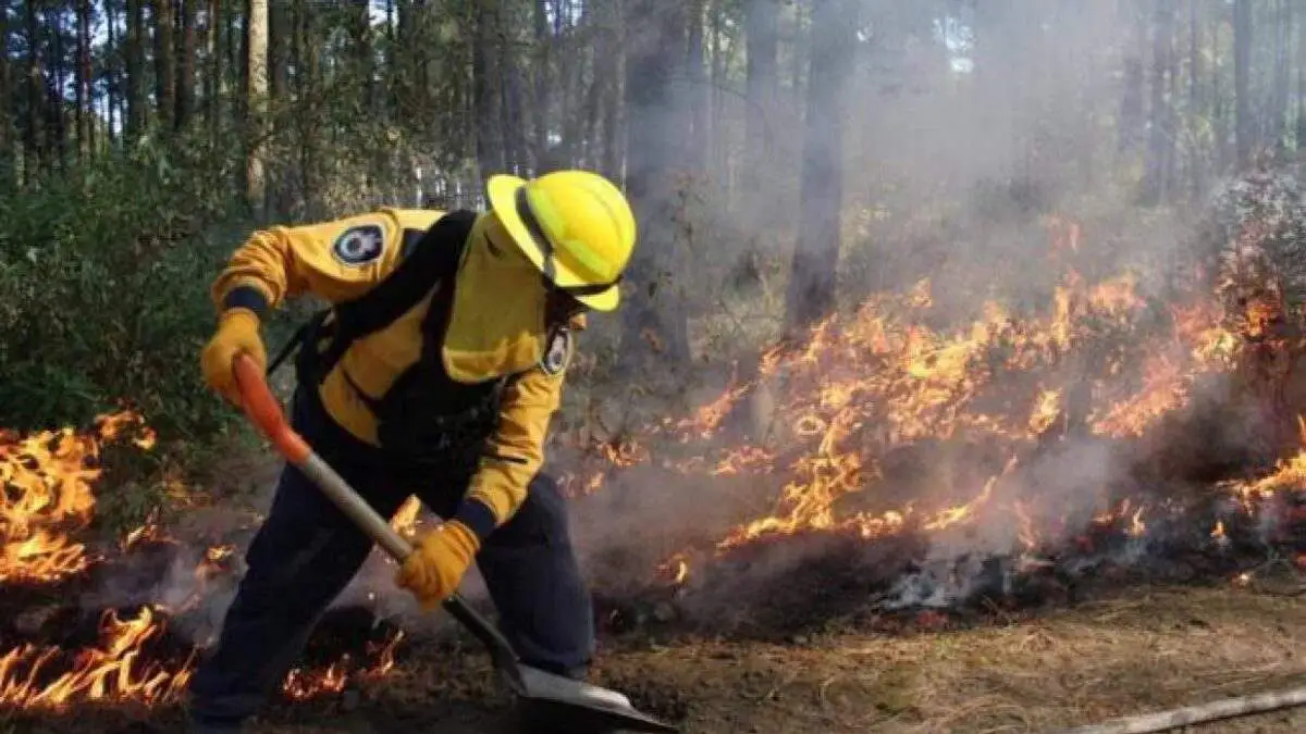 Congreso pide a Smadsot y protección civil combatir incendios forestales