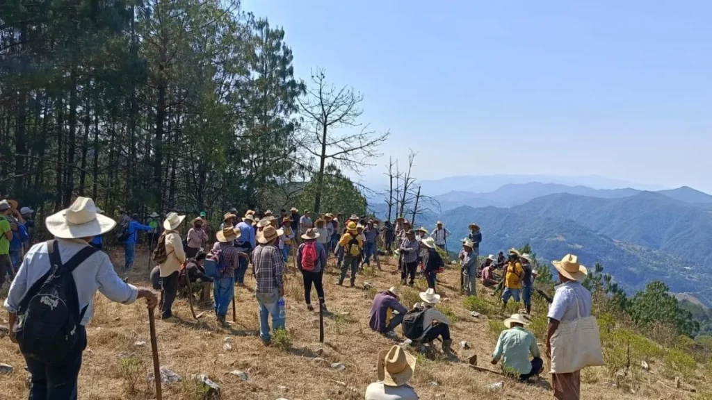 Liquidan incendio forestal en Libres y Coyomeapan; hay 360 hectáreas afectadas