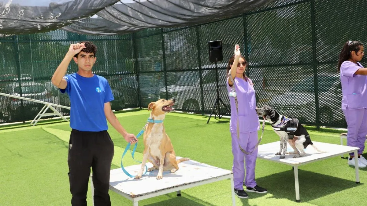 DIF municipal de Puebla ofrece dos canes para talleres de apoyo emocional