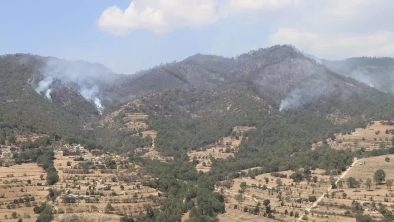 Incendio forestal en Libres deja 120 hectáreas afectadas, reportan