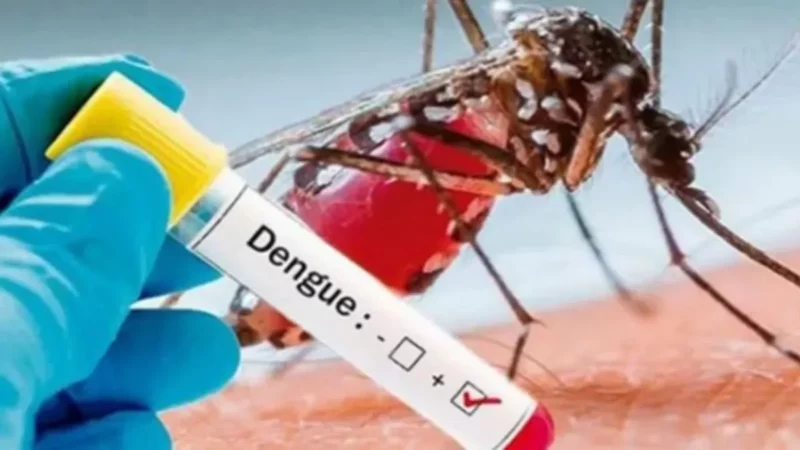 Acumulan 56.3% casos de dengue en Izúcar, Huaquechula, Huehuetlán y Chietla