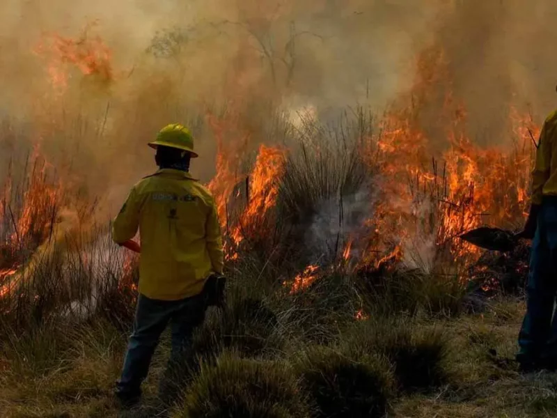 En 23 estados, 169 incendios forestales activos, reporta Conafor