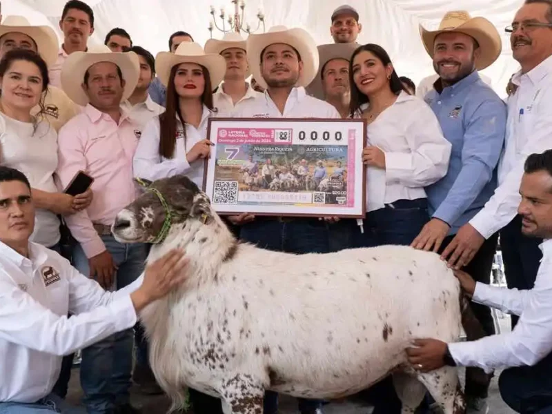 ¡Bravo!, FAO reconoce al borrego Pelifok, primera raza 100% mexicana